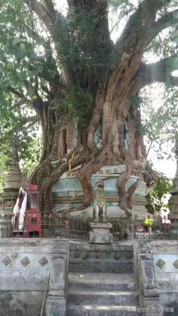 昆明腾冲瑞丽芒市六日游,腾冲瑞丽芒市旅游安全吗