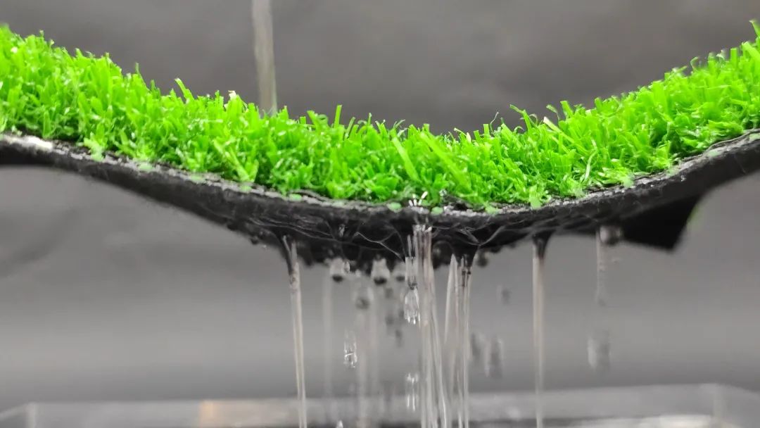 可以养小型宠物的植物盆,以诺宠物