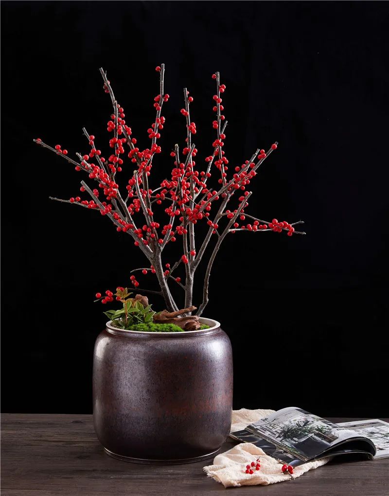 从小花店到年入900万元园艺名企，看温州绿趣的两次转型