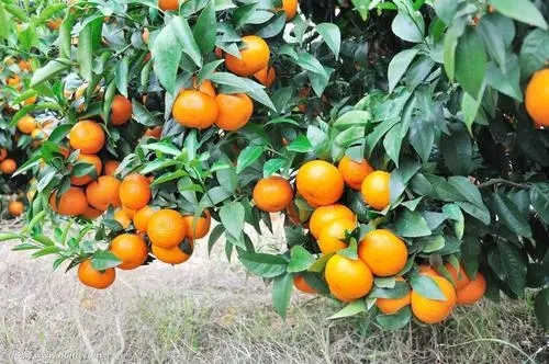 路漫漫其修远兮回归方寸之间,路漫漫其修远兮感悟