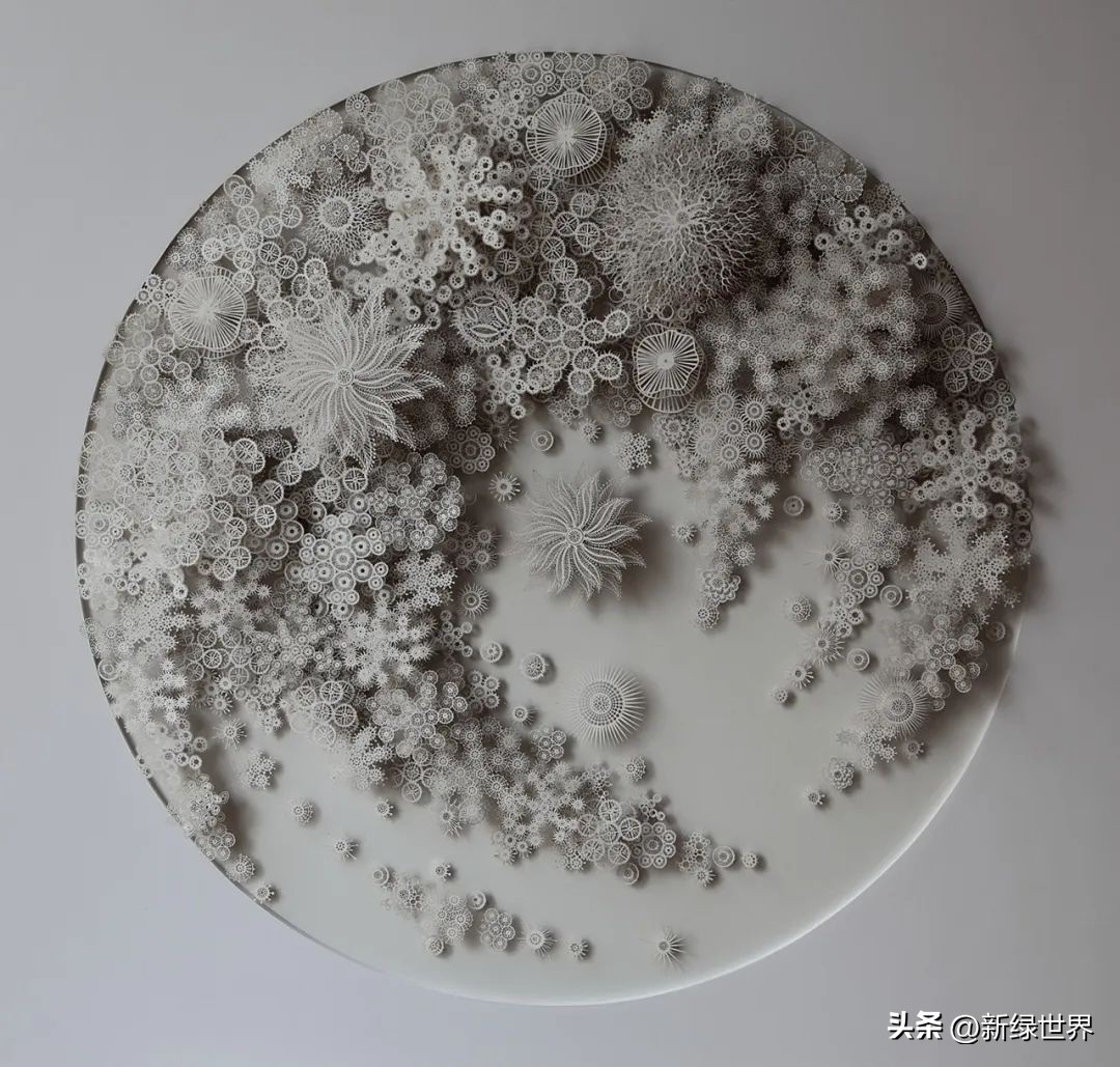 一组纸艺作品,令人惊艳的纸艺作品