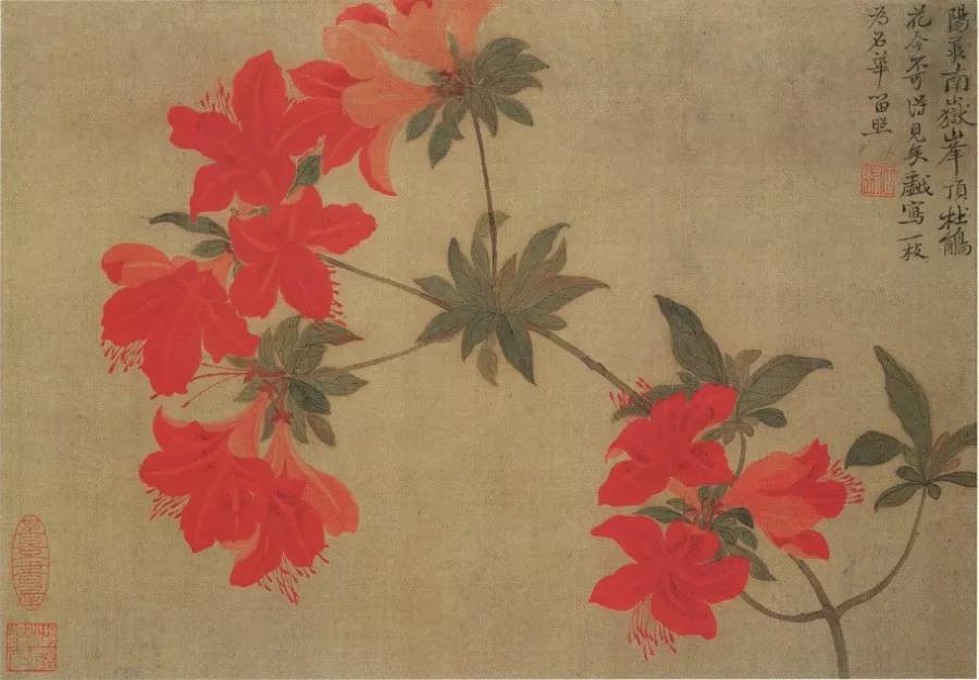 清代九大名家花鸟册页欣赏,清朝九大名家花鸟山水图