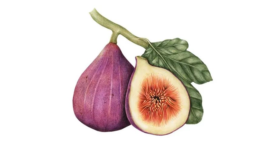 6-12岁儿童油画棒画教程,油画棒水彩结合作品儿童画