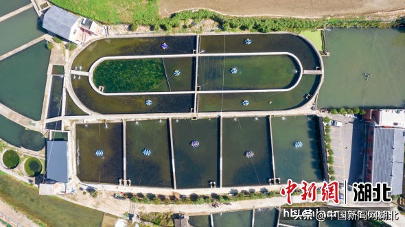 湖北十堰郧阳区美丽乡村房子照片,湖北十堰市郧阳区美丽乡村