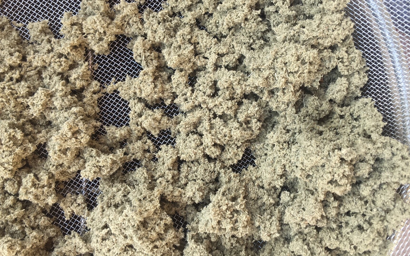 小成本月入十万小生意,做好这几个小生意月入过万并不难