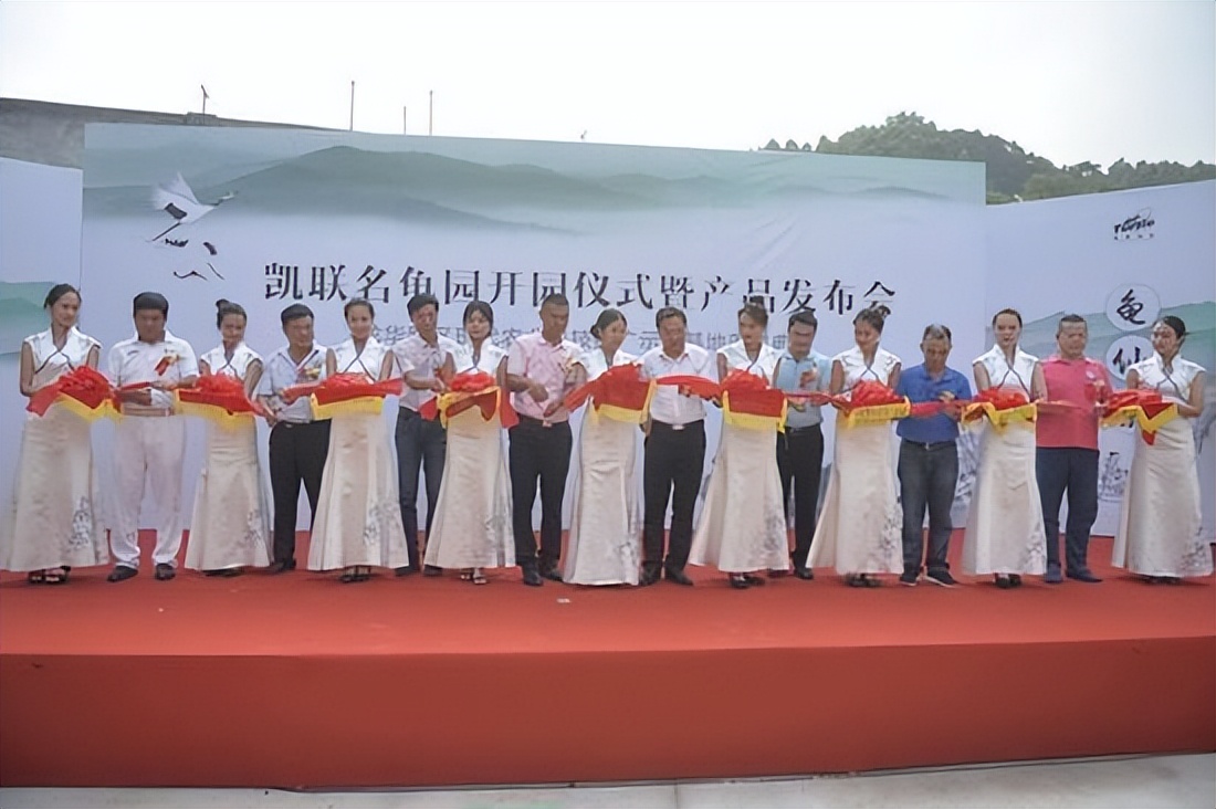 小伙靠养龟年度百万,男子靠三只病龟赚了6000万