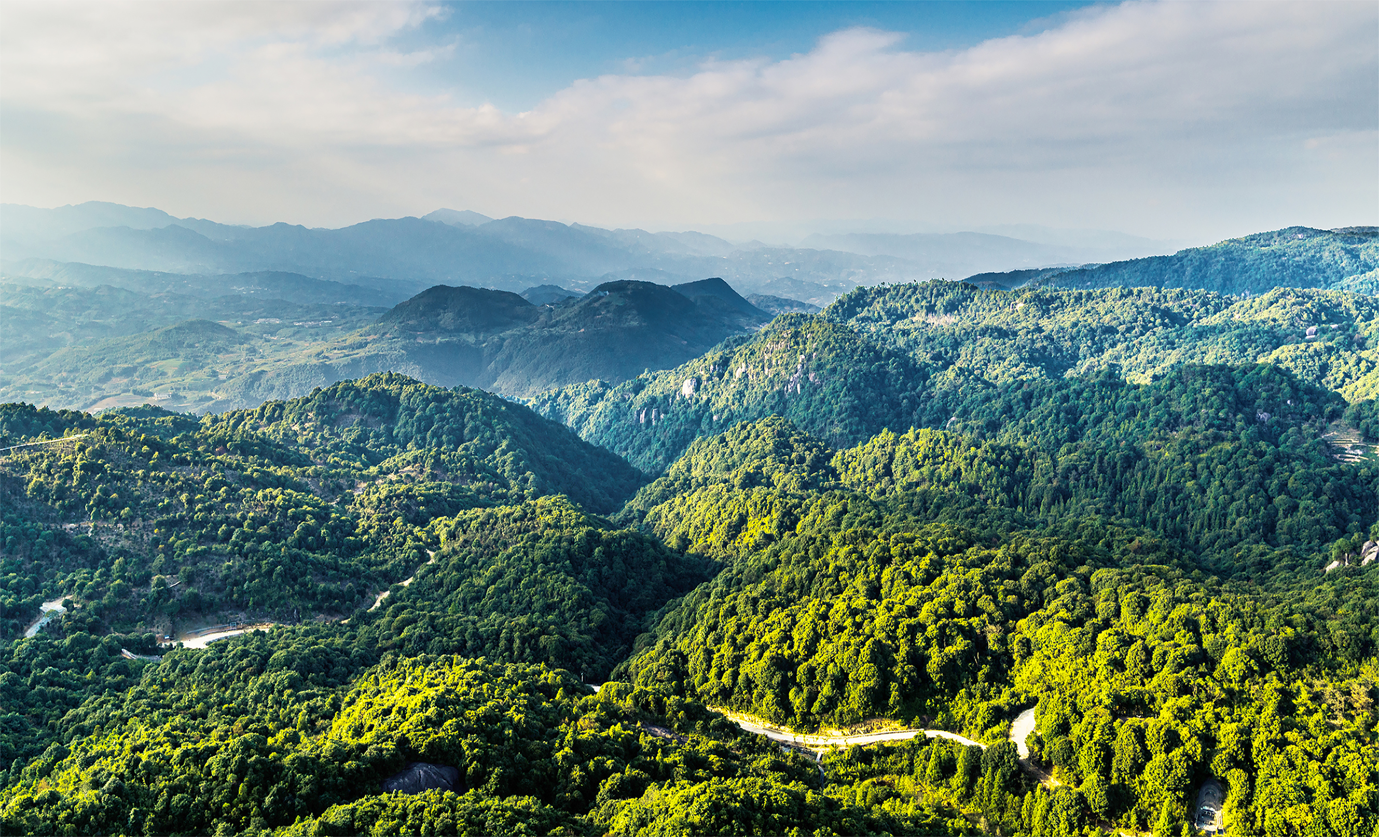 体验茶的独特韵味,探寻茶的乐趣视频