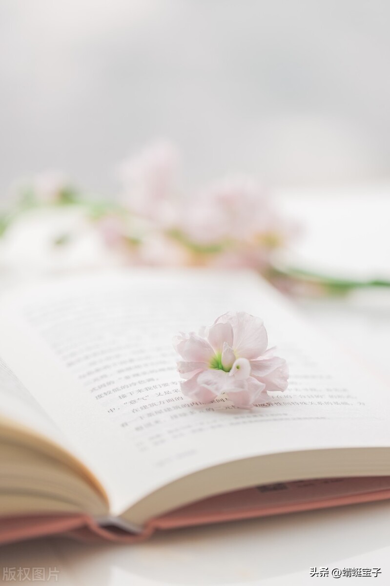 跟已婚渣男分手却还纠缠你怎么办,已婚男情人分手女人同意不纠缠