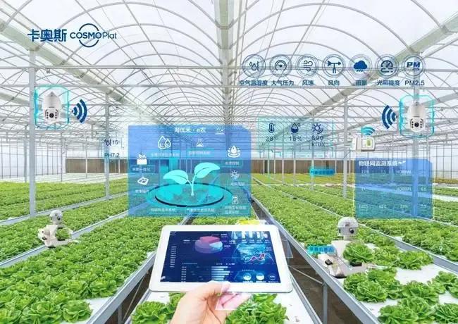 百年风云过，名校隐山中——冲一流的山东农业大学为何风光不再