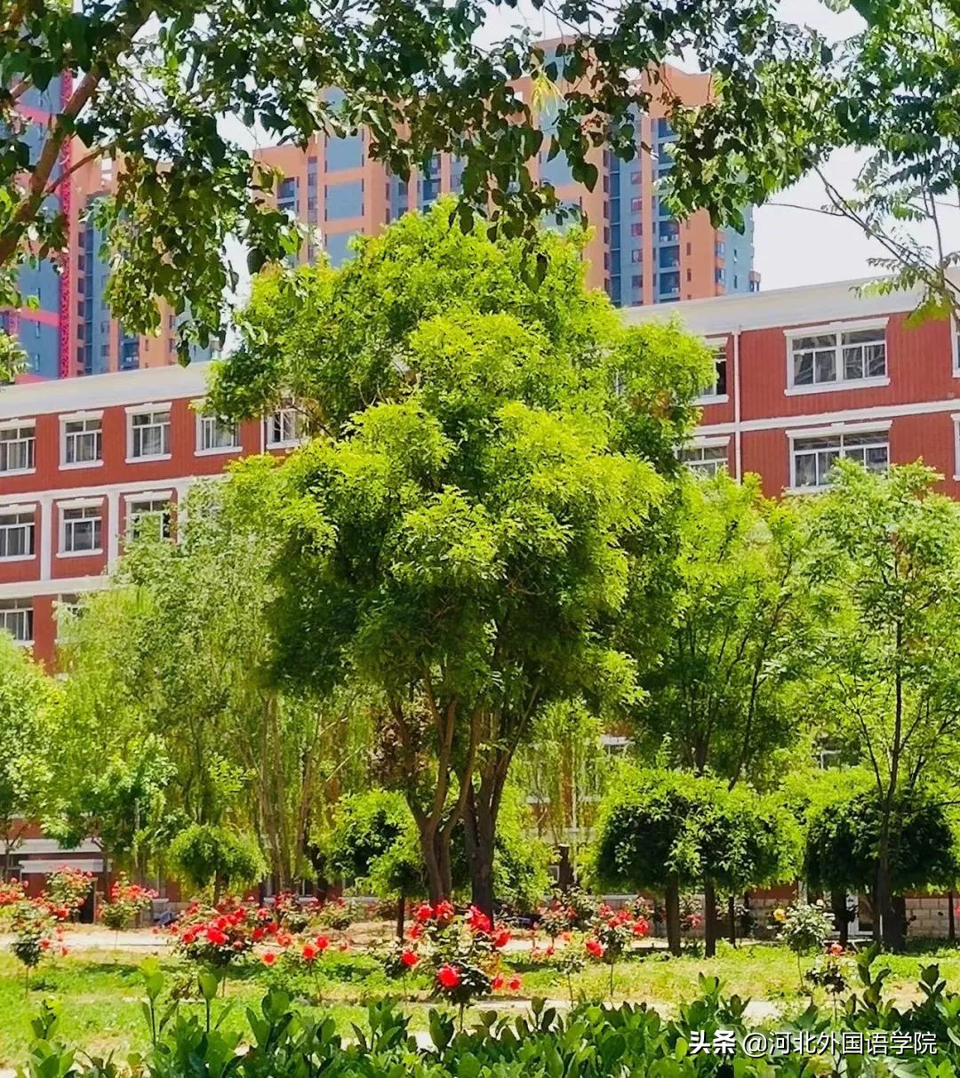 河外附中是省示范高中吗,河北外国语附属中学成绩