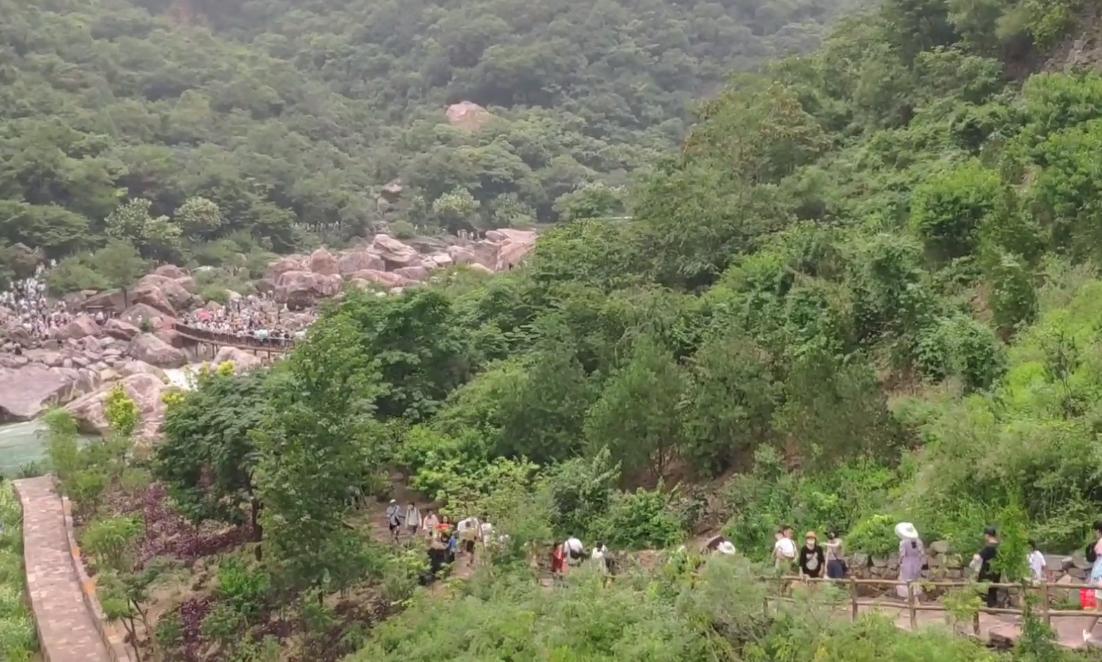 郑州植物园夏季开放时间,郑州夏季适合去哪旅游攻略