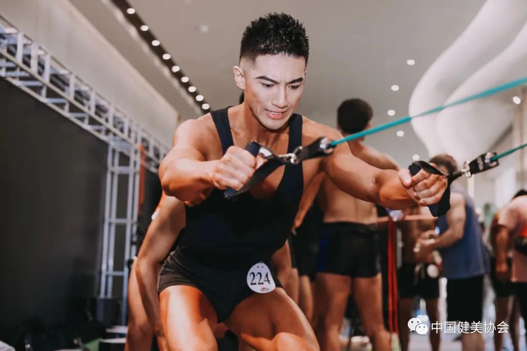 龙腾虎跃大展宏图一鸣惊人,龙腾虎啸凌云志