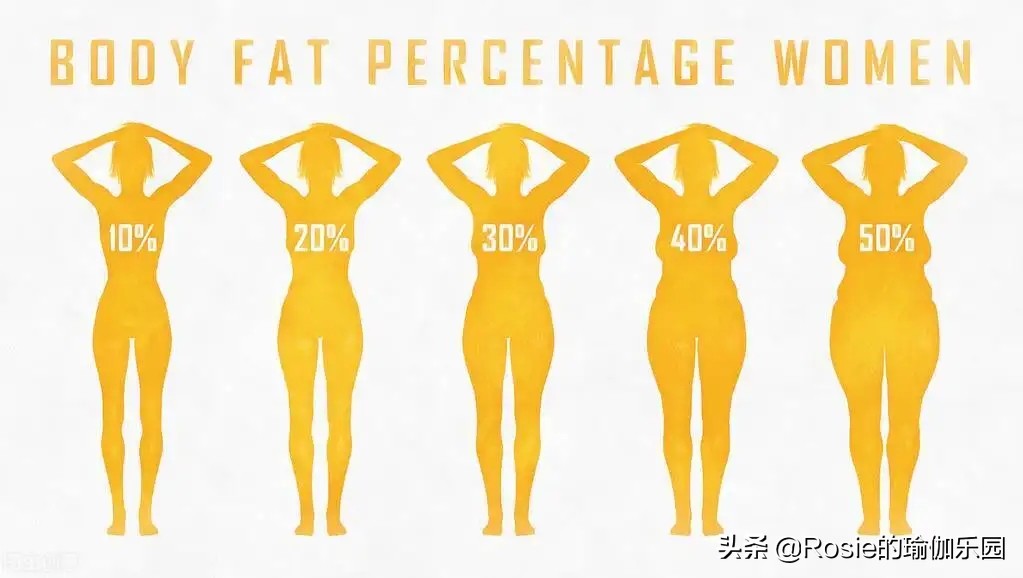 马来西亚周杰伦腹肌训练,周杰伦不露腹肌人鱼线