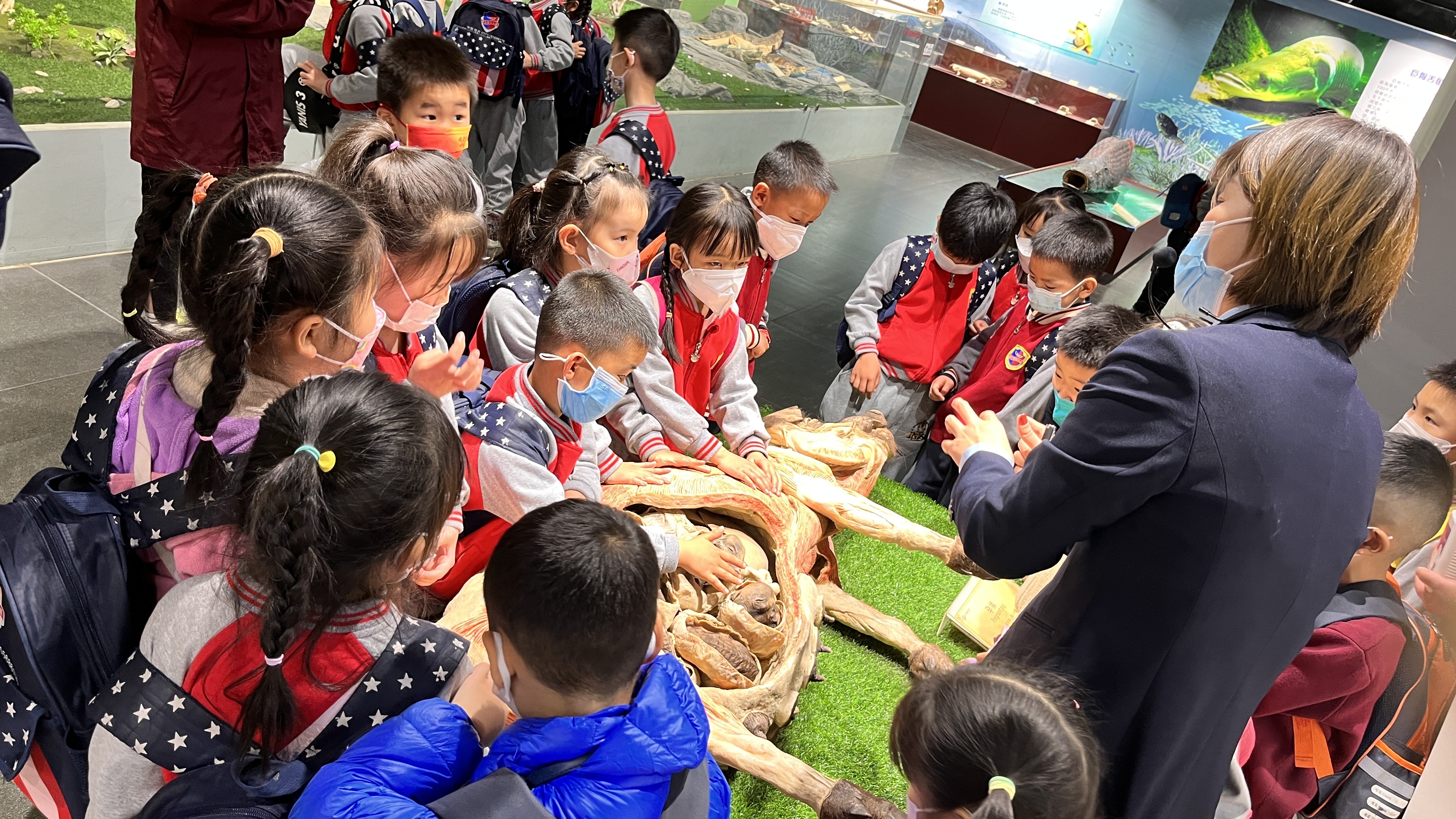 郑州旅游景区最新政策,郑州园博园买半价门票