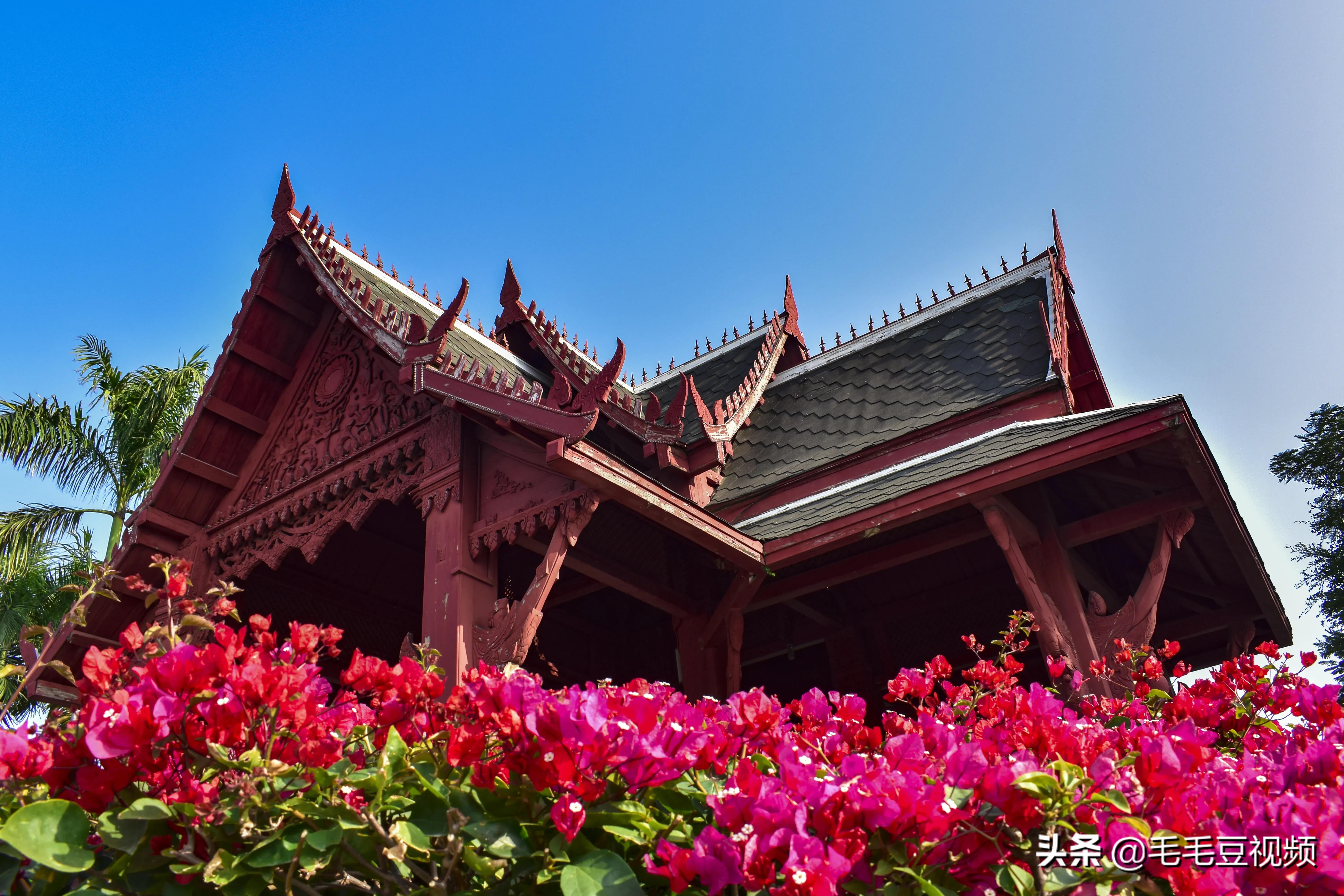 厦门适合初次约会的景点,厦门约会免费景点攻略图