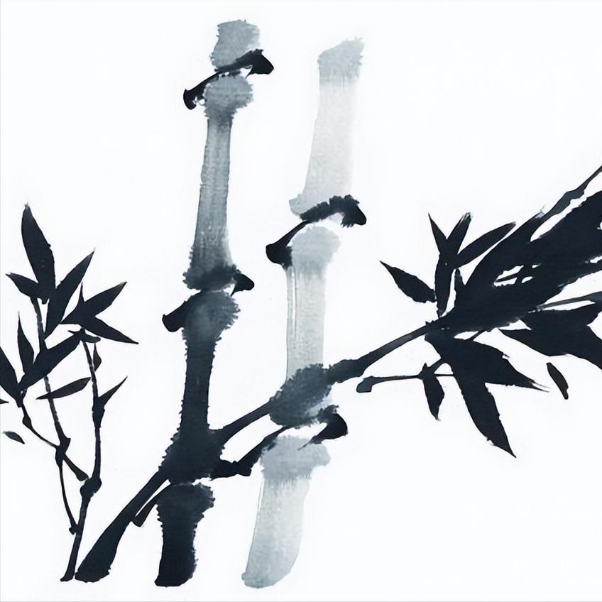 “咏竹”经典古诗词20首：未出土时先有节，及凌云处尚虚心