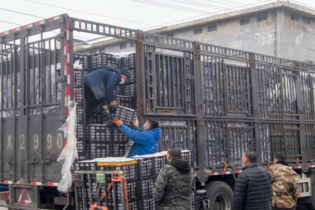 长春市“果盘子”货源充足品类丰富