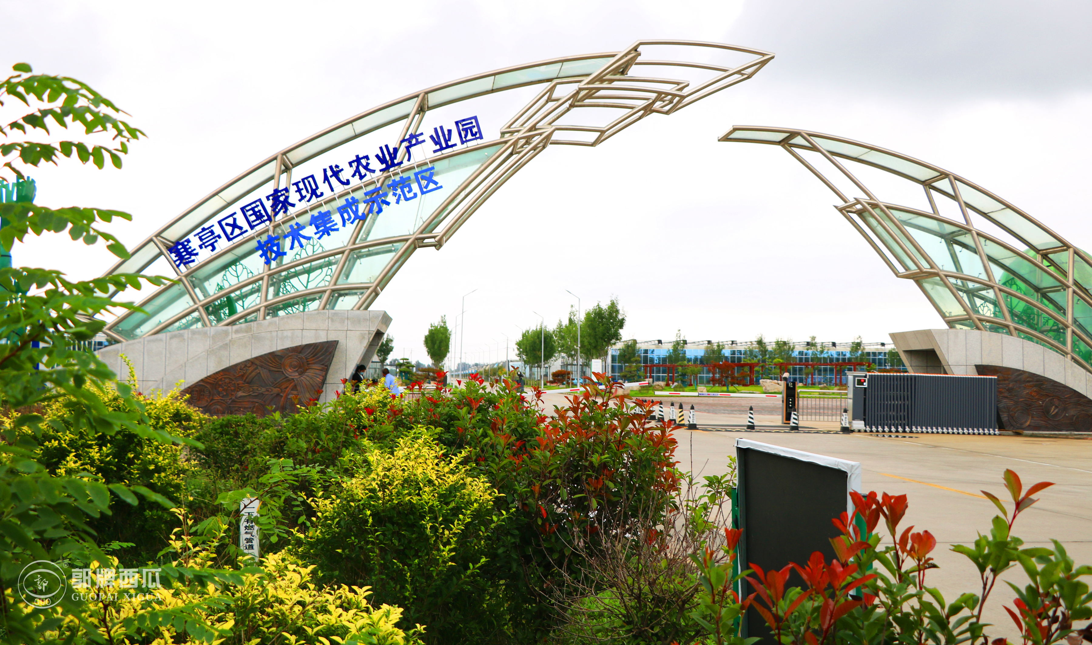 北京西瓜批发直播,北京西瓜水果批发市场