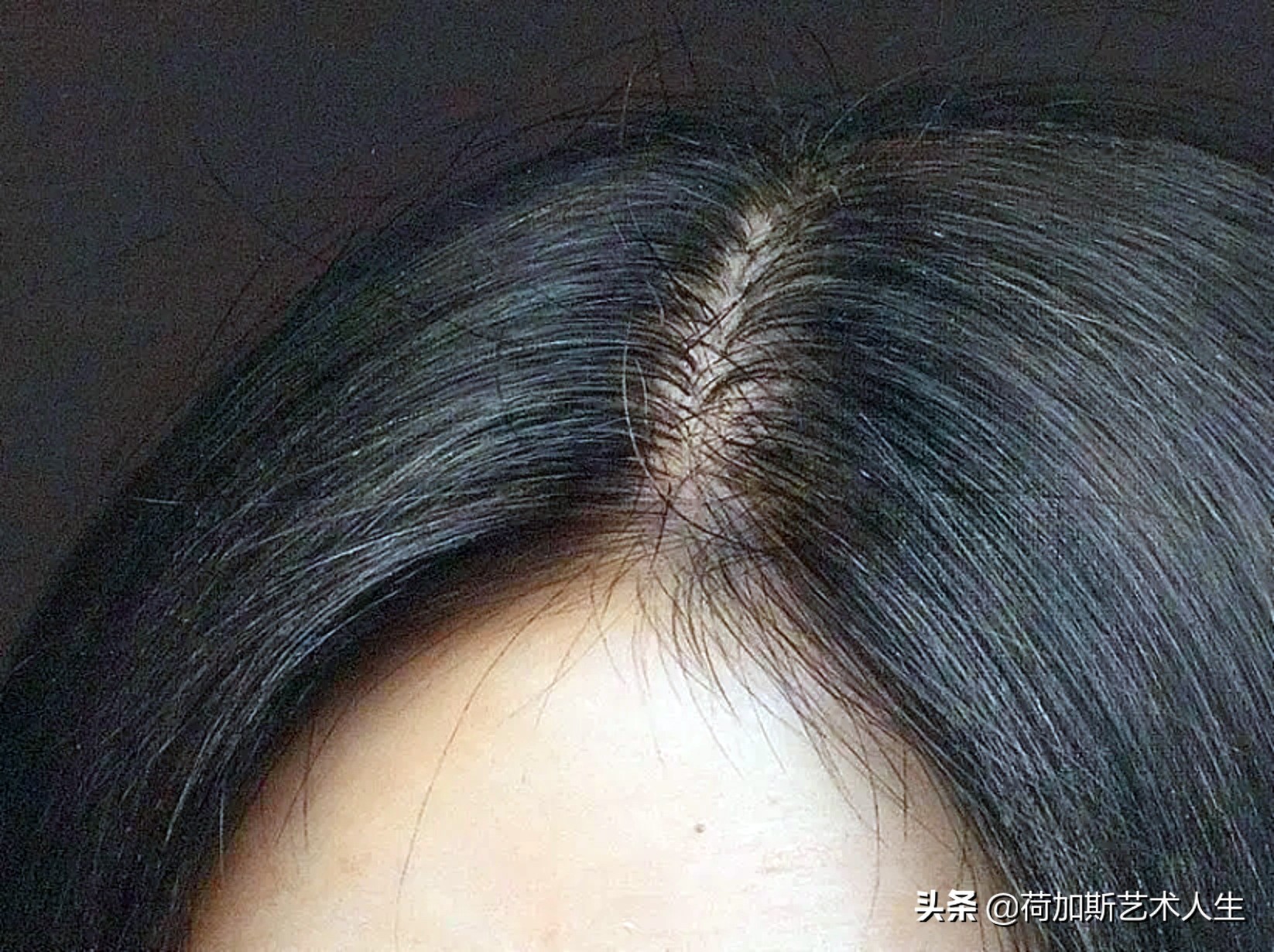 西班牙超写实油画,老虎的超写实油画