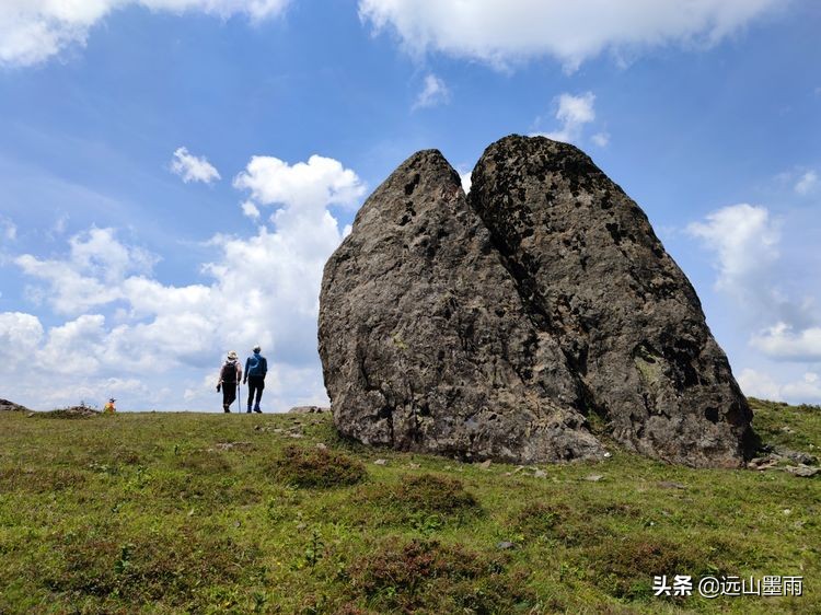 蓝天白云绿草间,蓝天白云草原绿草茵茵风景秀丽