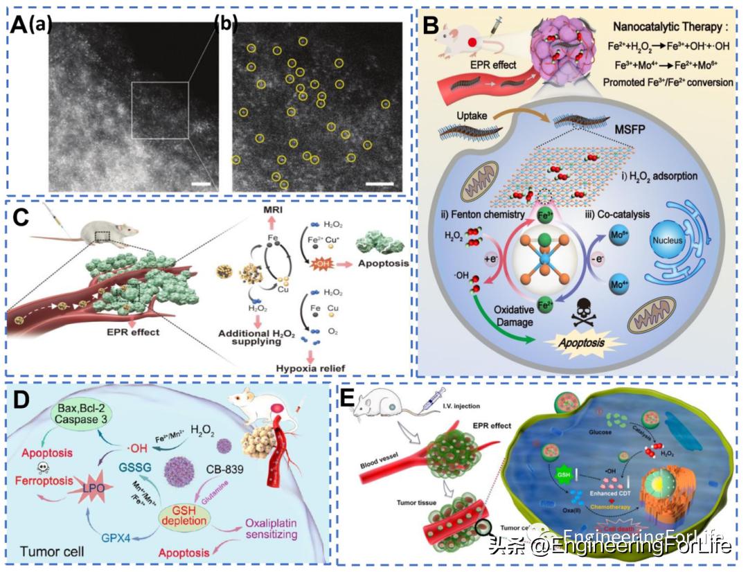 纳米材料抗肿瘤药物怎么用,新型纳米材料治疗肿瘤