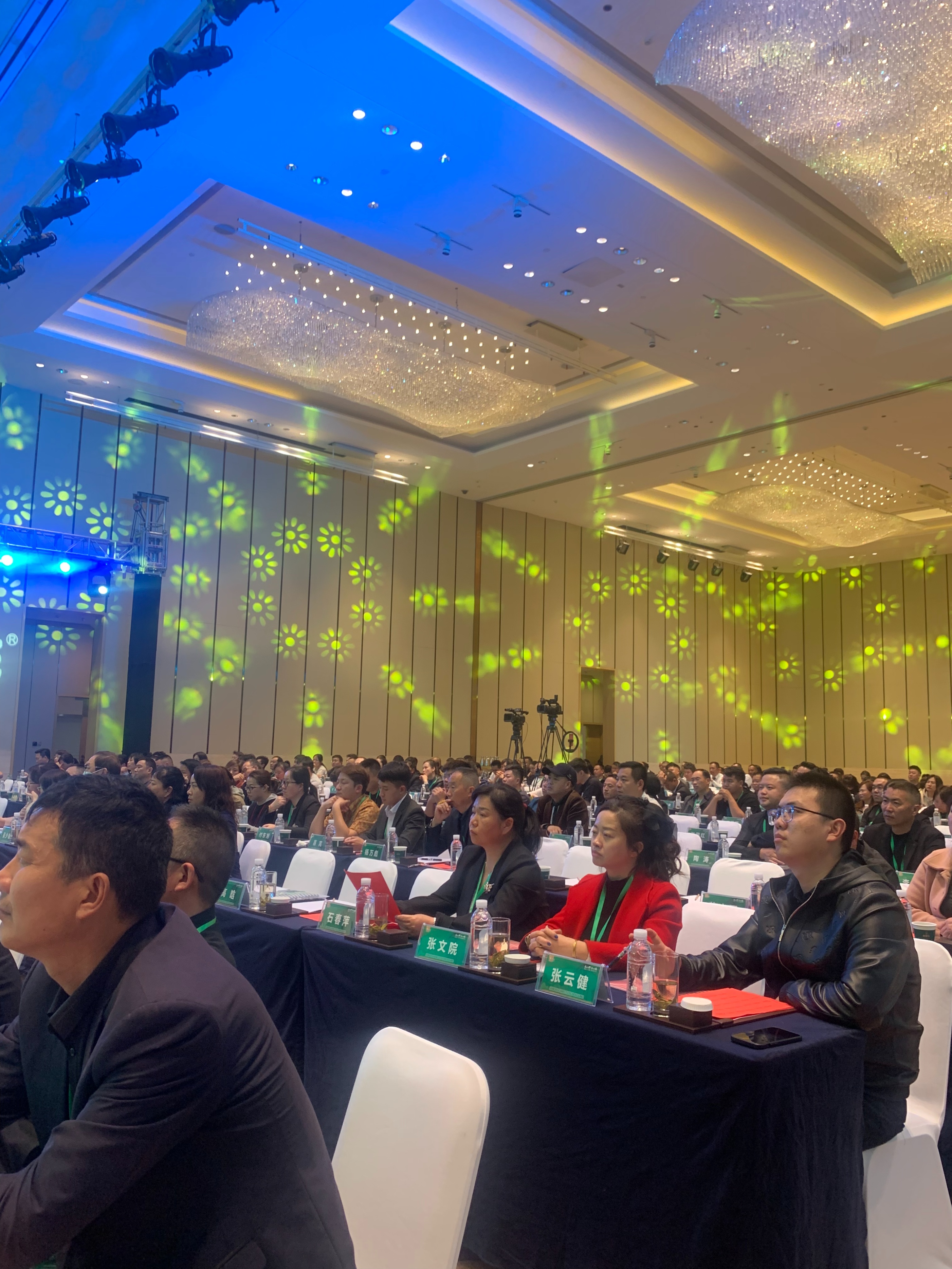 云南金丰汇油脂2020经销商大会,金丰汇油脂云南