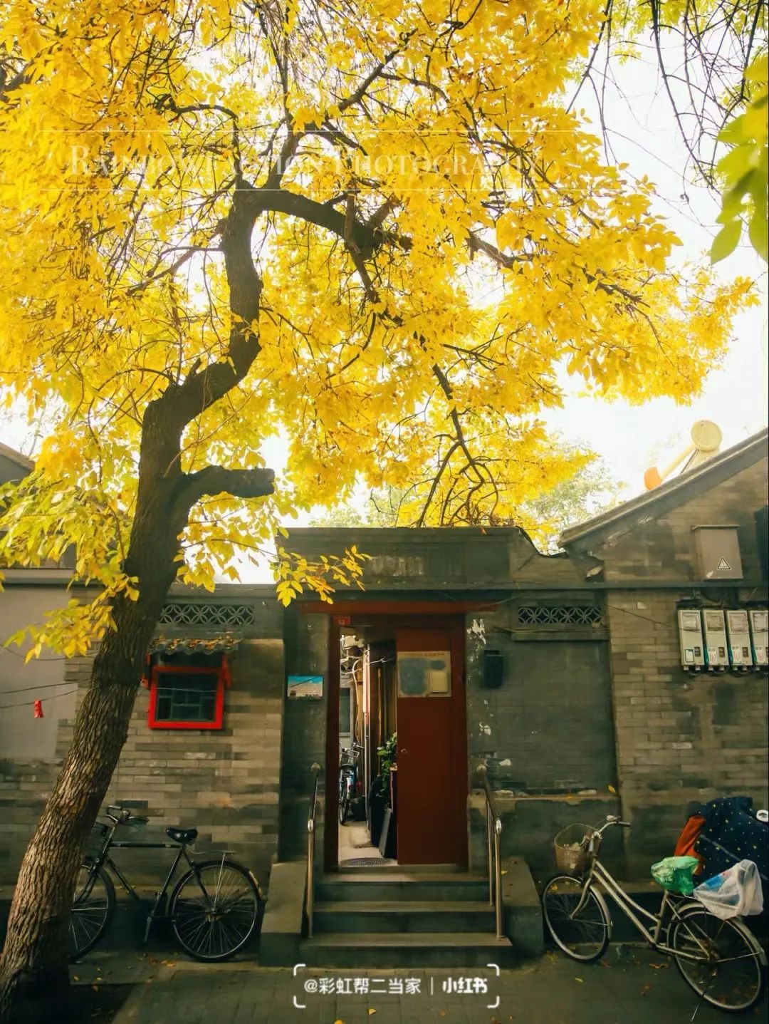 一入秋北京就变成了北平原文,一入秋北京就成了北平是谁说的