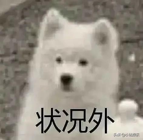 乔欣徐正溪嫣语赋首播好评,乔欣徐正溪茶艺夫妇