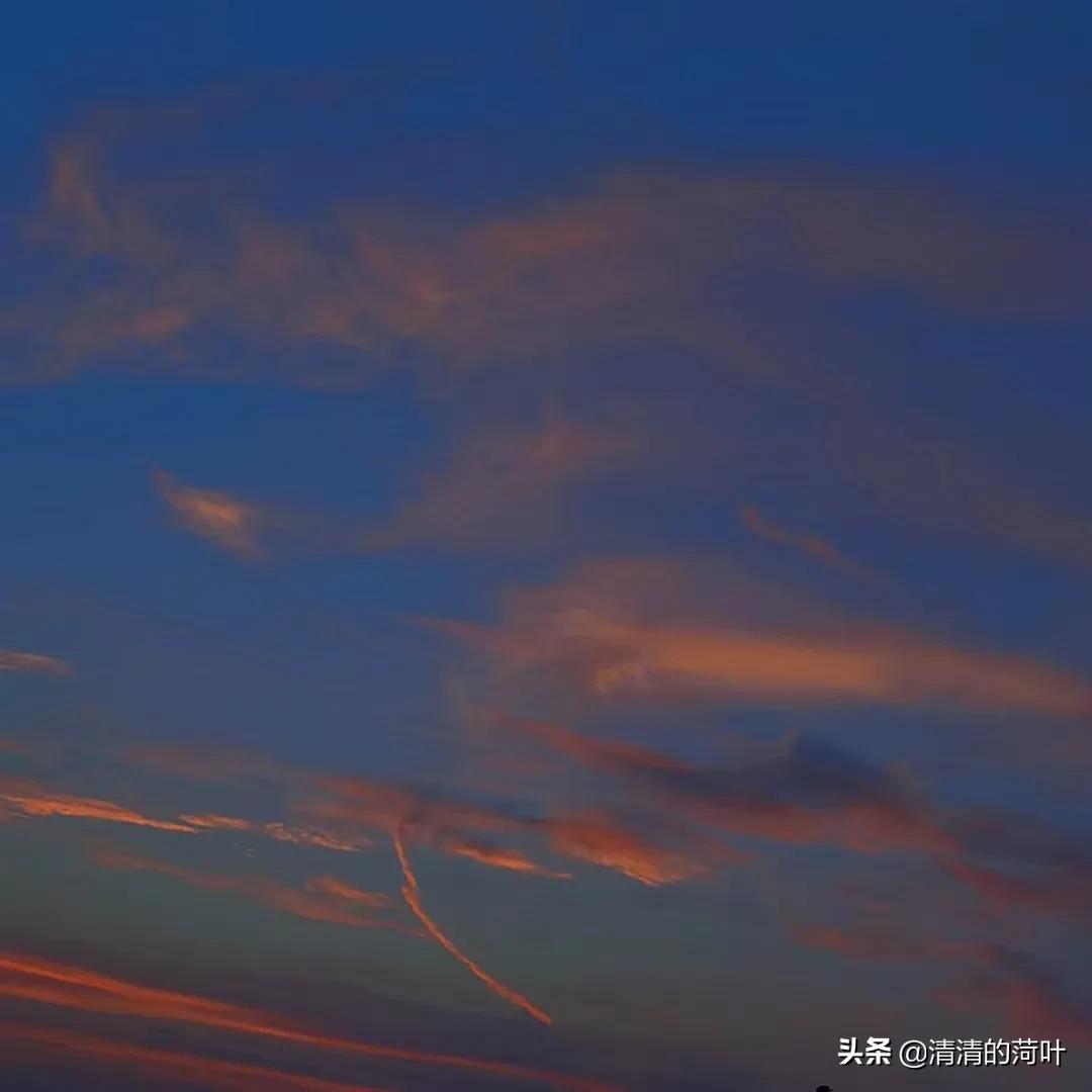 约好的见面怎么不见人,约好晚上见面却没动静