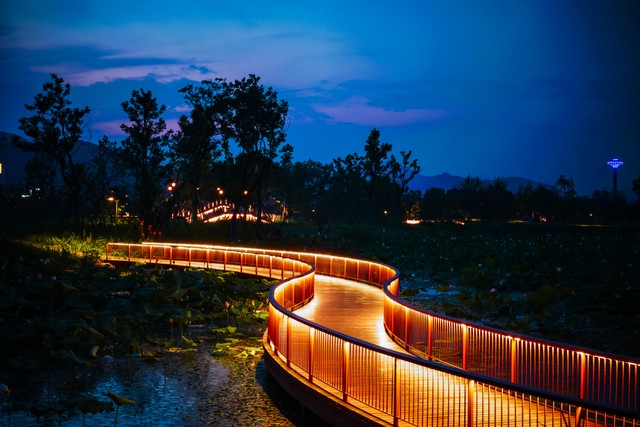 嗨，今天你“阳”了吗？