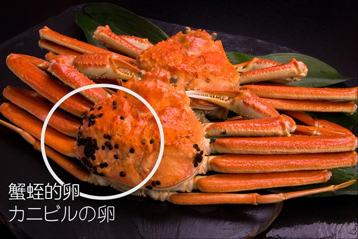 去日本必吃的五种海鲜,到日本必吃的饕餮美食