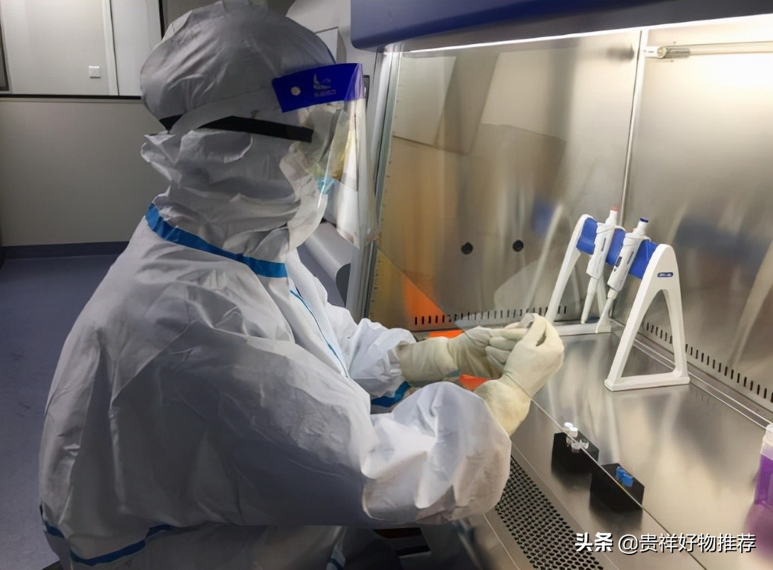 怎么查之前的核酸检测记录,如何查以往的核酸检测记录