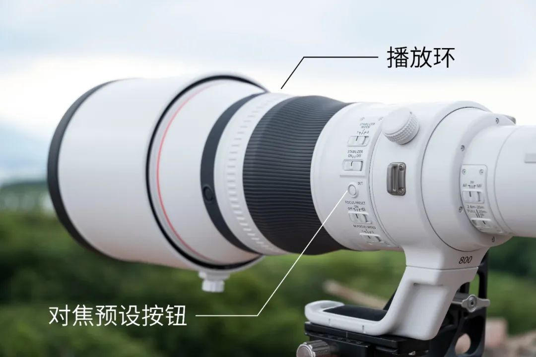 佳能rf800mmf5.6价格,佳能rf800mmf5.6定焦镜头能拍多远