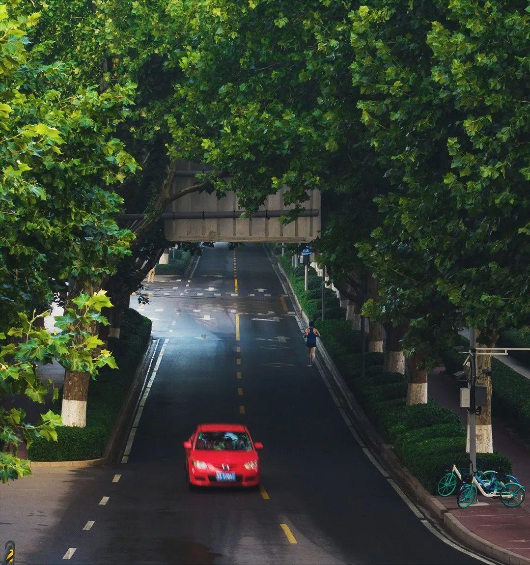 济南值得推荐的休闲好去处,济南必逛风景点