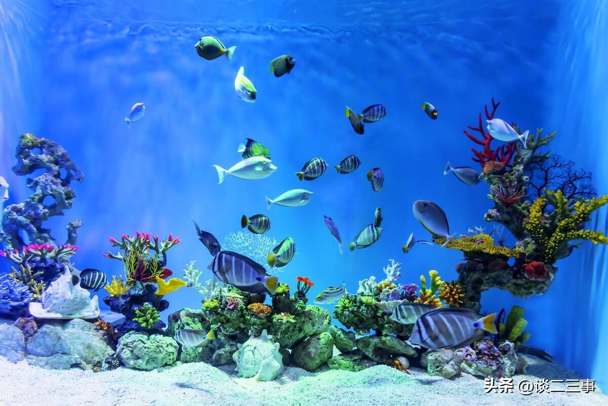 上海晚上十大必去免费景点,上海青浦十大旅游景点