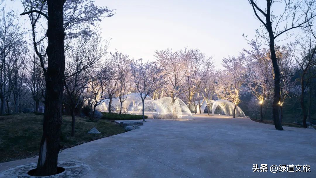 樱花树下的约定字体设计,樱花树下的约定完美国度