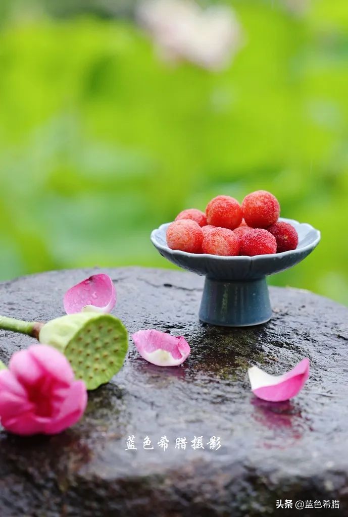 绚烂夏花，夏日物语，或热烈、或温婉，让这个夏天有了色彩和香气