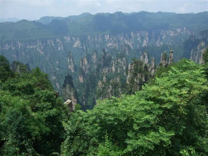 00后感兴趣的领域,00后的爱好