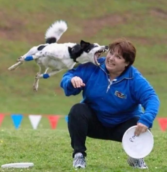 比赛中一些搞笑镜头笑翻你,赛场100个搞笑瞬间