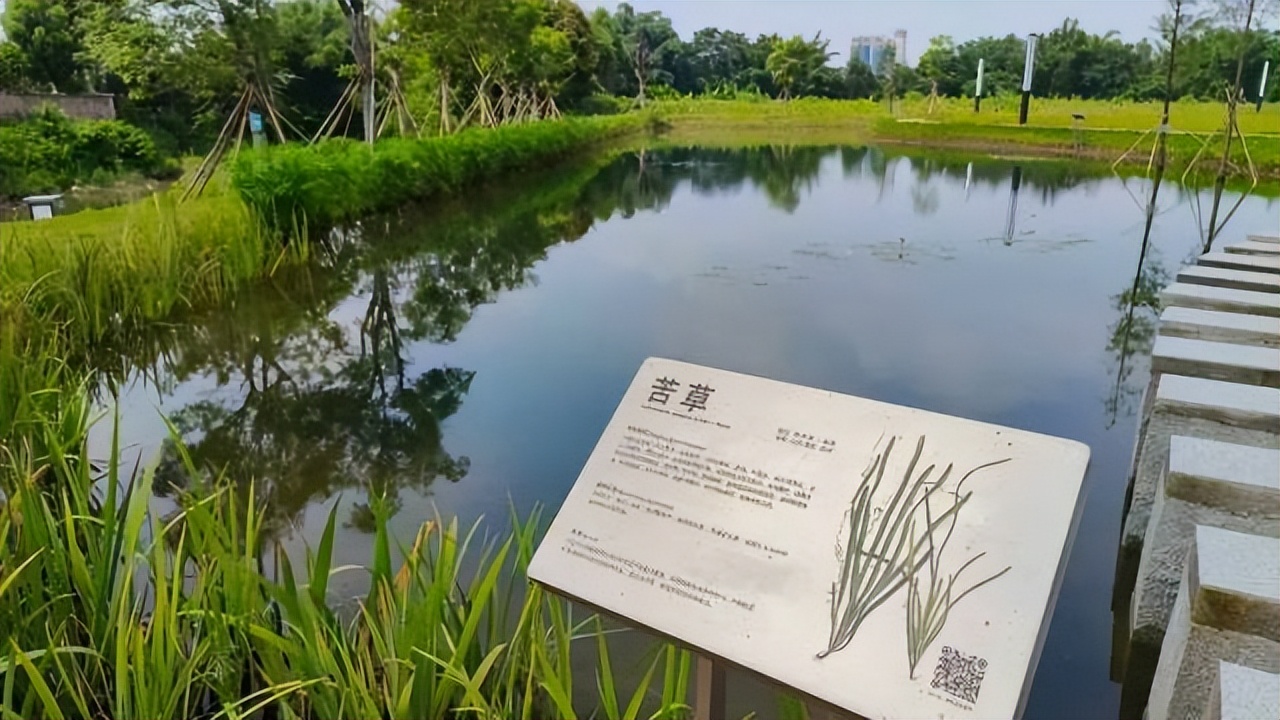 山美水美好风景区,山美水美风景美地方美