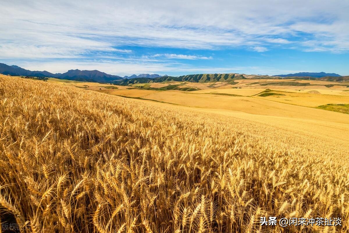 神仙的自留地,神的自留地喀纳斯