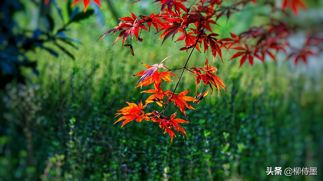 照片拍出来难看怎么修图,照片不能瞎拍