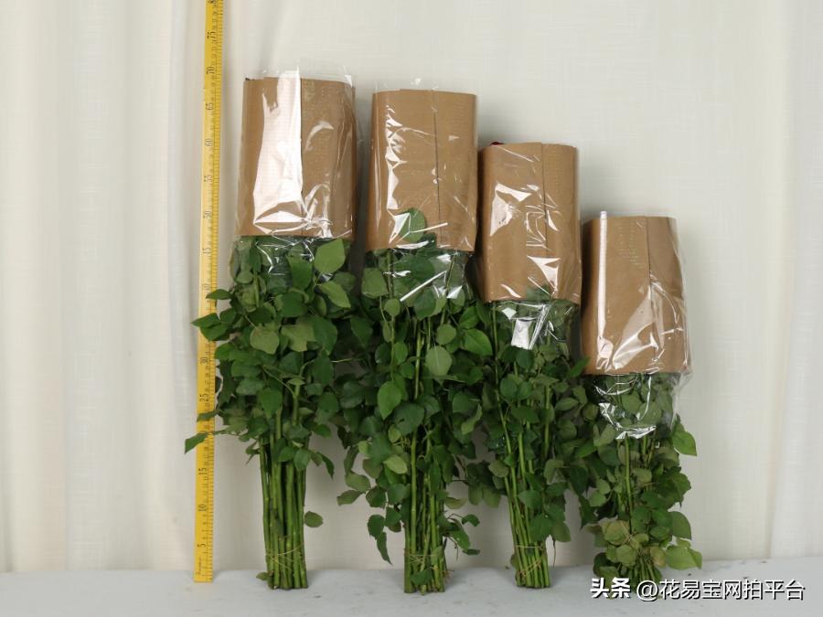 鲜花分级标准依据有哪些,鲜花种类等级排名