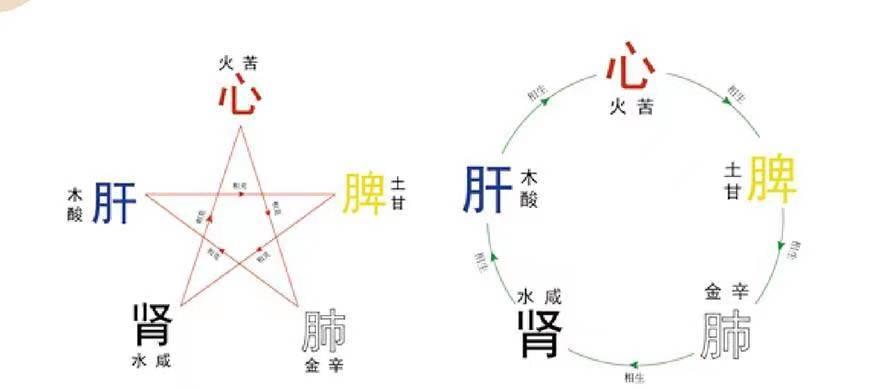 如何最简单明了了解中医五行表,中医的金木水火土对应的五行
