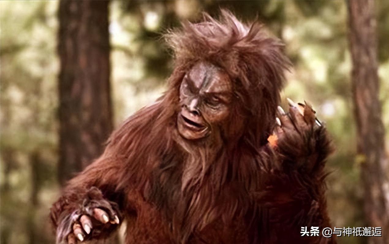 古代传说中的神仙有哪些,古代的神仙都去哪里