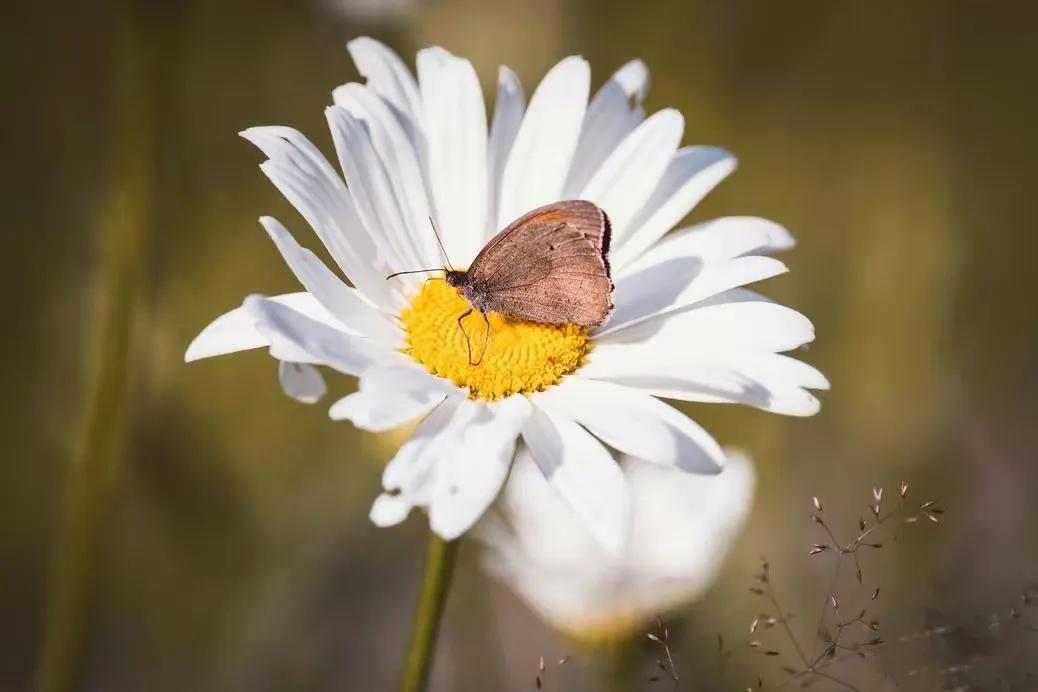 被老公指责没带好孩子搬出去,被老公责怪孩子带不好