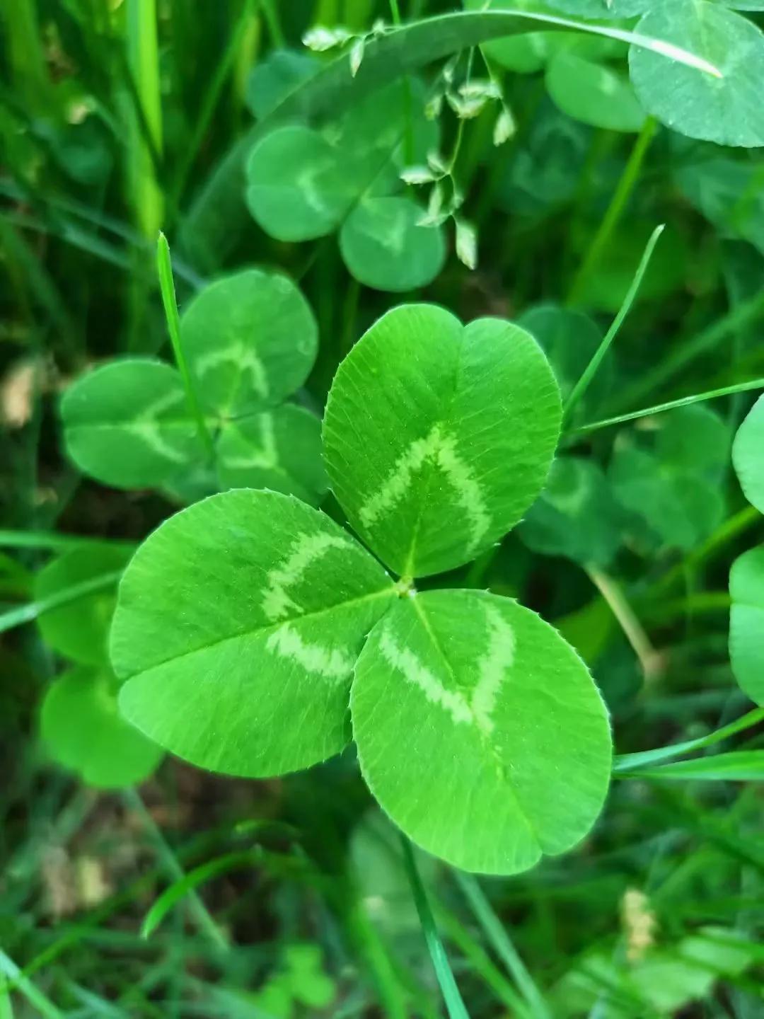 生活就是用一两分的甜冲淡8分苦,生活用一两分的甜冲淡七八分的苦