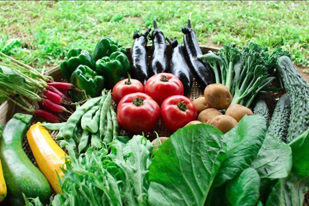 八种蔬菜没断过农药,有效去除蔬菜农残请看这里