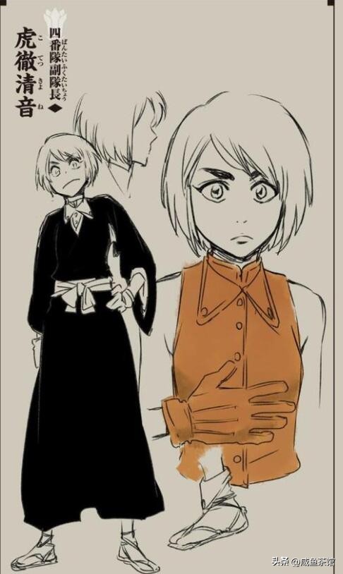 死神bleach副队长卍解合集,死神bleach护庭十番队副队长