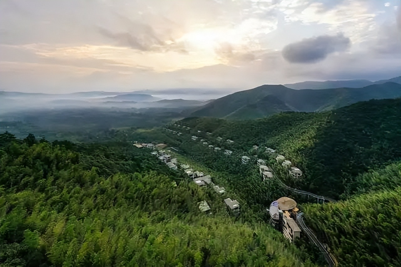 南山竹海御水温泉竹溪谷酒店,御水温泉竹溪谷酒店赏竹
